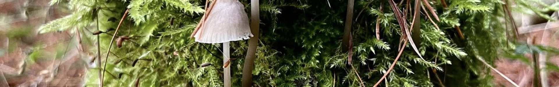 585334544 122283040130023342 1470372923387190073 n